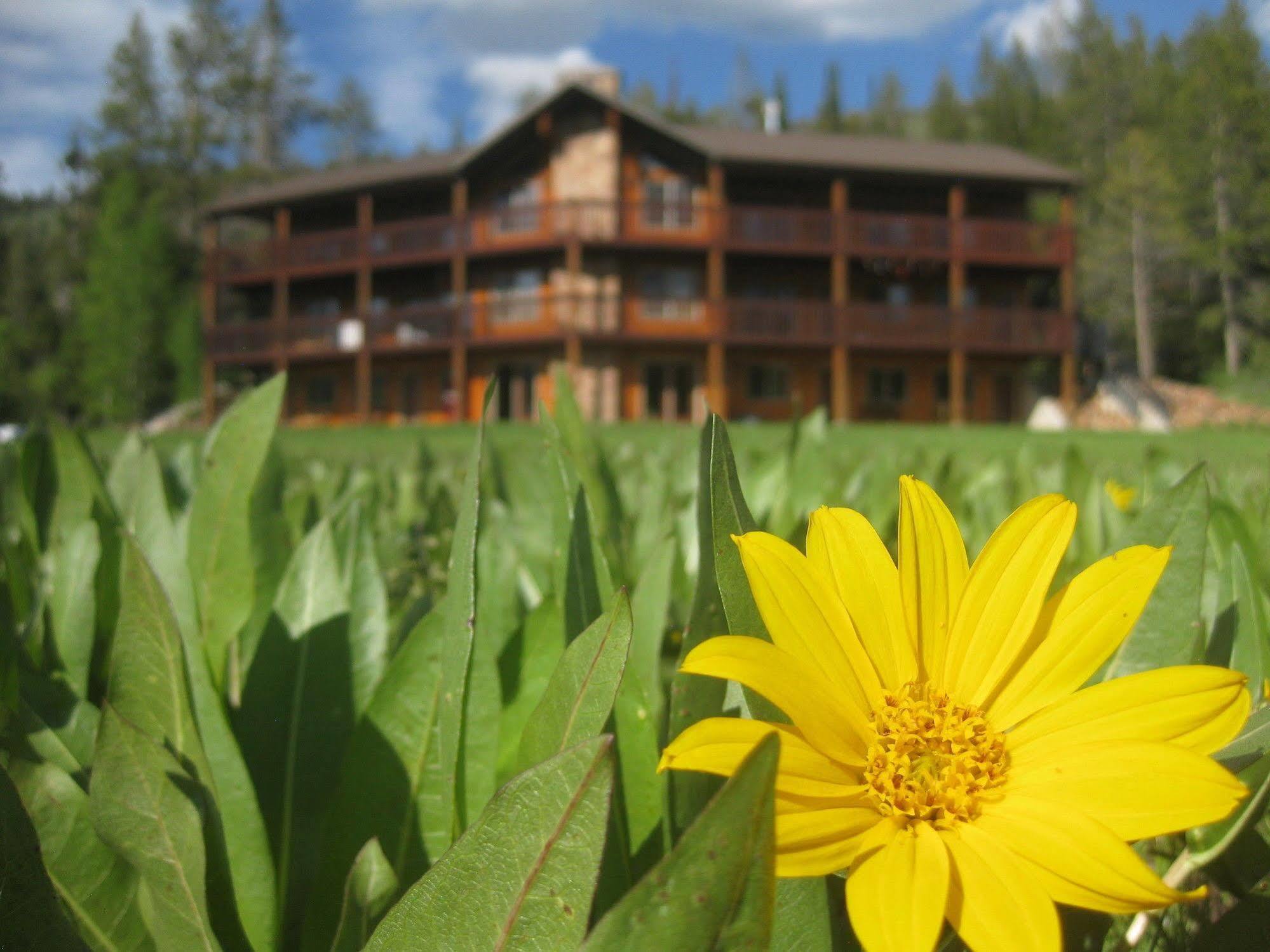 Beaver Creek Lodge 洛根 外观 照片